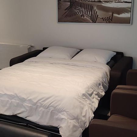 מסיק Maas Chalet Aldeneik מראה חיצוני תמונה